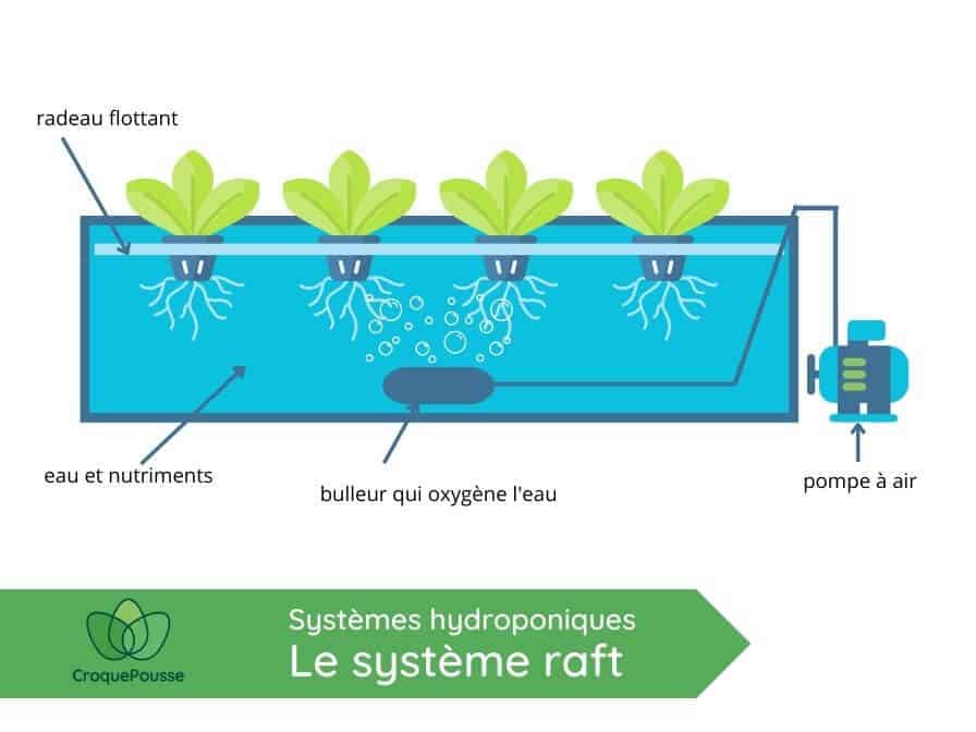 Les bases de l'hydroponie - Système et matériel hydroponique